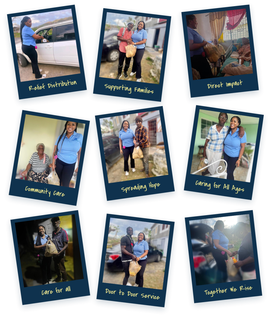 hjf collage